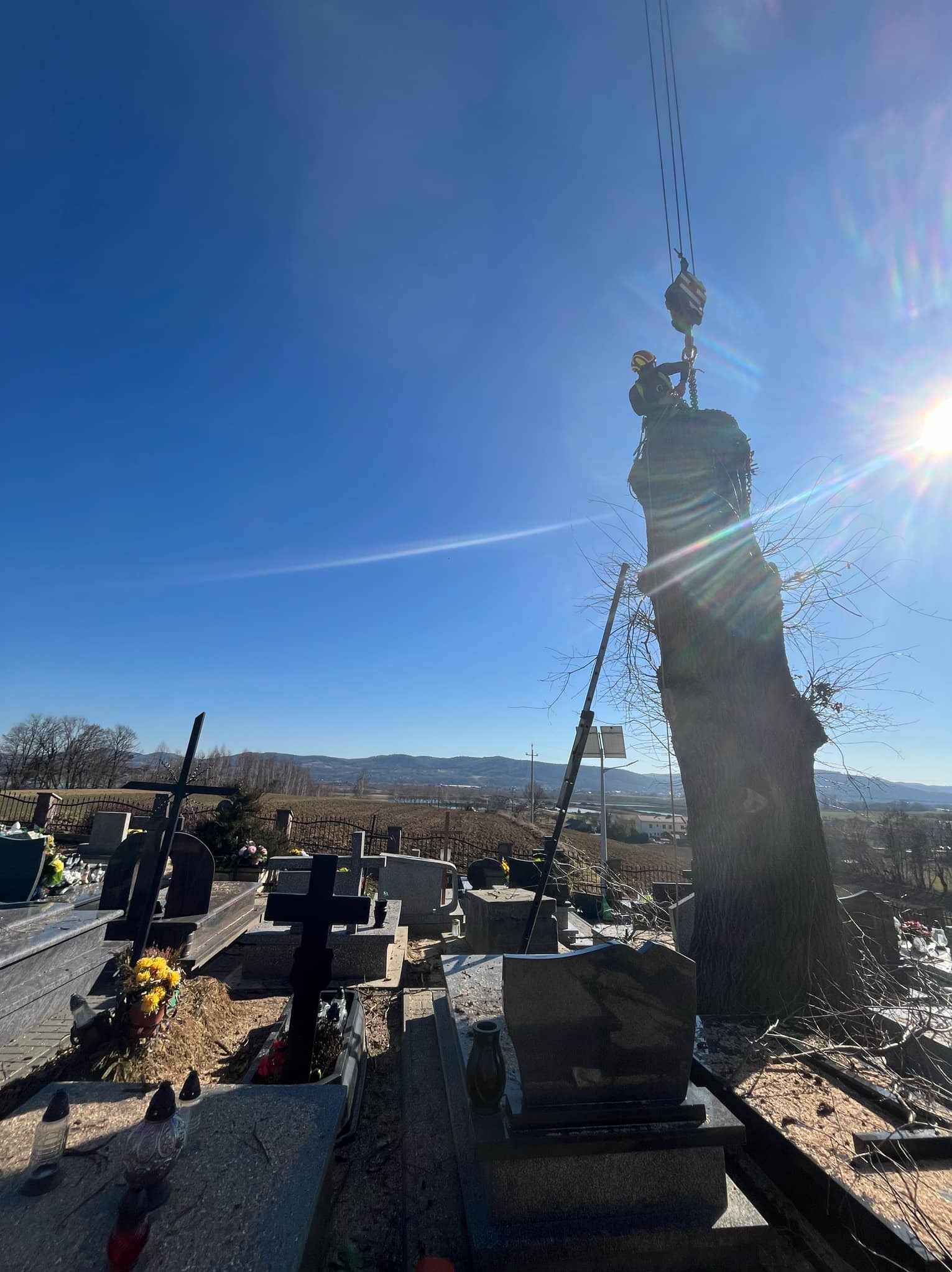 Usuwanie drzewa na cmentarzu z użyciem dźwigu, dwóch pracowników w kaskach i uprzężach, widok z dołu na tle błękitnego nieba i nagrobków.