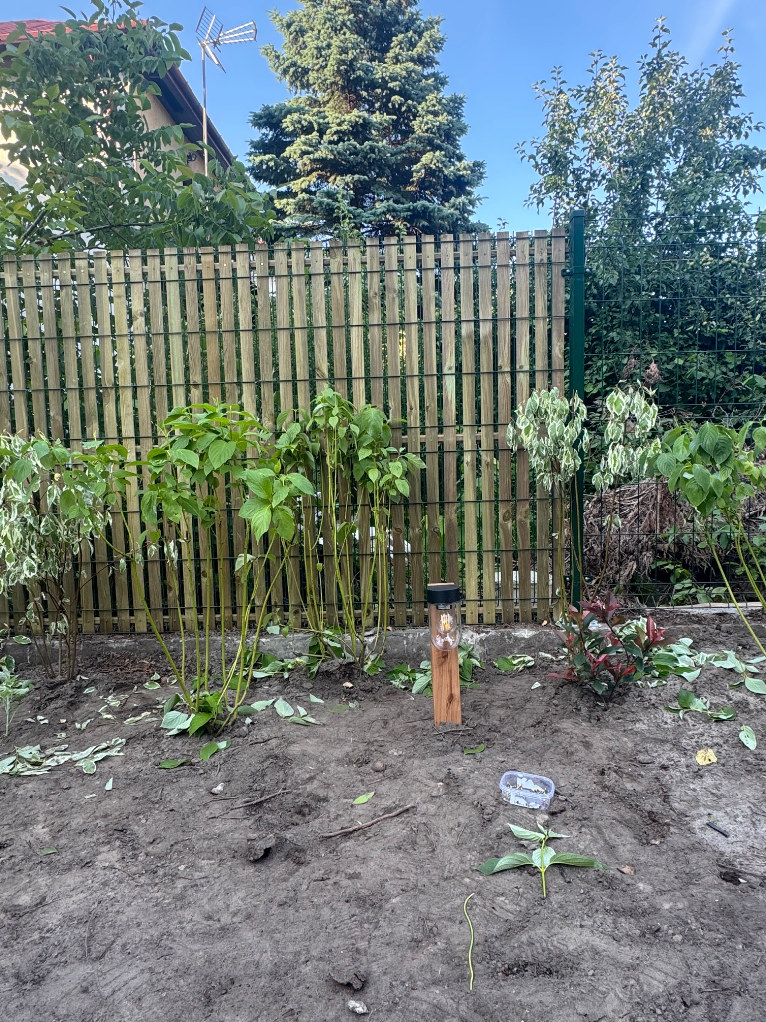 Grunt po pracach ziemnych w Warszawie, widoczny drewniany płot z metalową siatką, posadzone krzewy i lampka solarna. Przygotowanie pod taras betonowy.