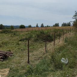 Tomasz Brzeziński - Rozstawione słupki ogrodzeniowe na zarośniętym terenie, w tle widoczne drzewa i pagórki, obok leżą stosy drewna, a przy drodze plastikowa torba.