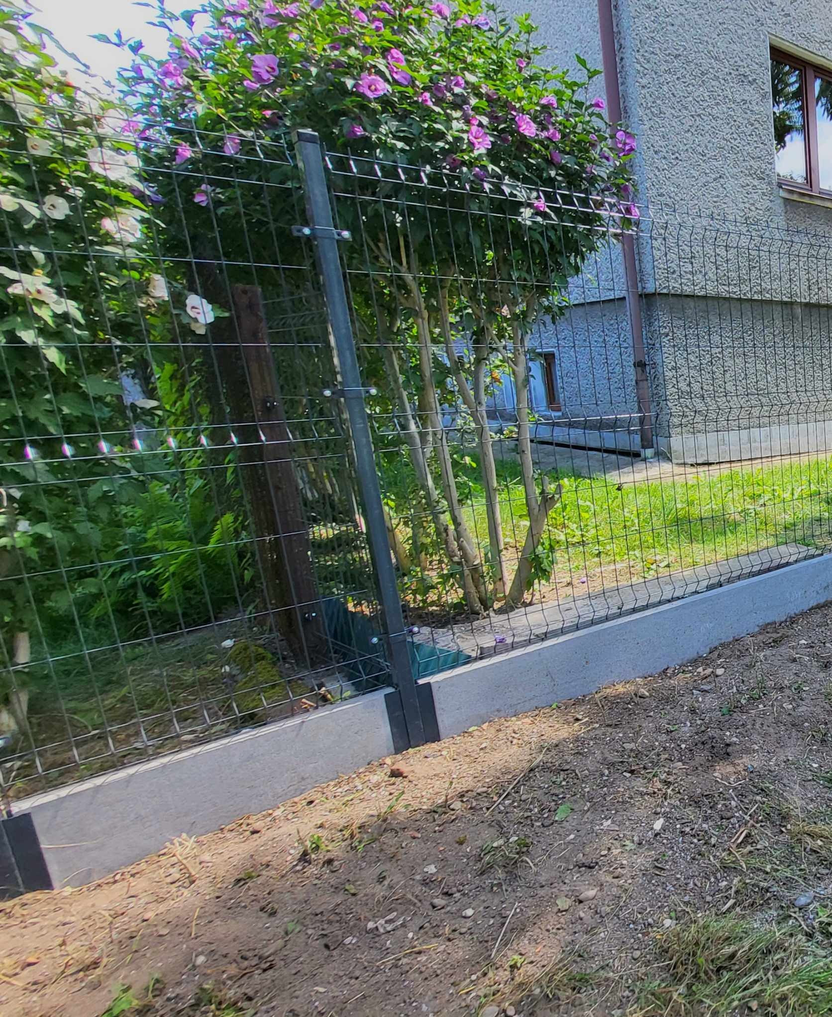 Nowoczesne ogrodzenie panelowe z podmurówką betonową, widoczne zarośla i kwitnący krzew w tle, teren przygotowany do zagospodarowania.