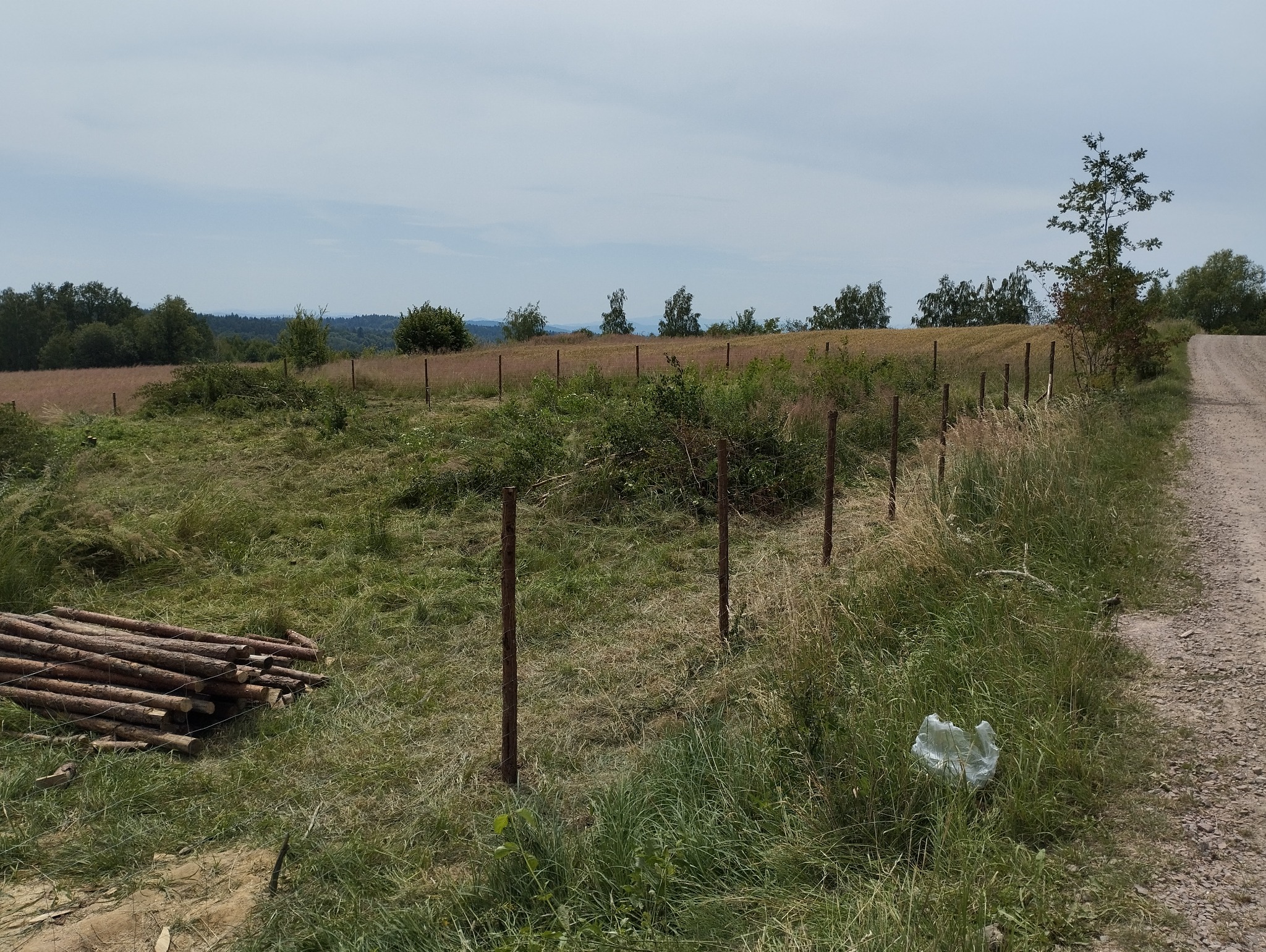 Rozstawione słupki ogrodzeniowe na zarośniętym terenie, w tle widoczne drzewa i pagórki, obok leżą stosy drewna, a przy drodze plastikowa torba.