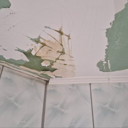 Kamil Mazurkiewicz - Odklejająca się farba na suficie w rogu łazienki z zielonymi fragmentami i widocznymi płytkami ceramicznymi na ścianie.