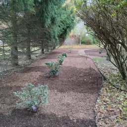 Sprzątanie mieszkań Nakło nad Notecią 3