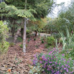 Sprzątanie mieszkań Nakło nad Notecią 4