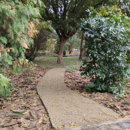 Andrzej Błonk - Ścieżka z drobnego żwiru w ogrodzie, obrzeża z czarnego tworzywa, kora i opadłe liście na rabatach, drzewa w tle.