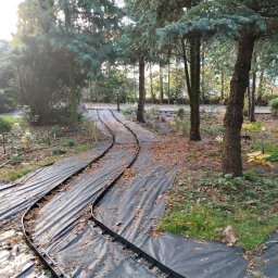 Andrzej Błonk - Rozłożona czarna agrowłóknina z brązowymi obrzeżami wzdłuż ścieżki w ogrodzie, widoczne drzewa iglaste i liściaste oraz lampa parkowa w tle.