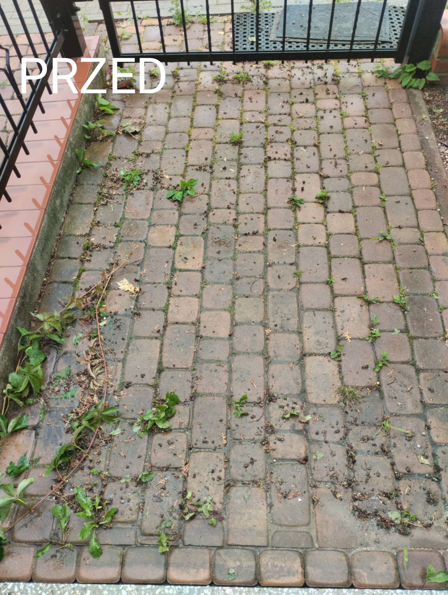 Zabrudzona kostka brukowa z chwastami i resztkami roślin, widok z góry, etap przed czyszczeniem, napis 'PRZED' nałożony na zdjęcie.