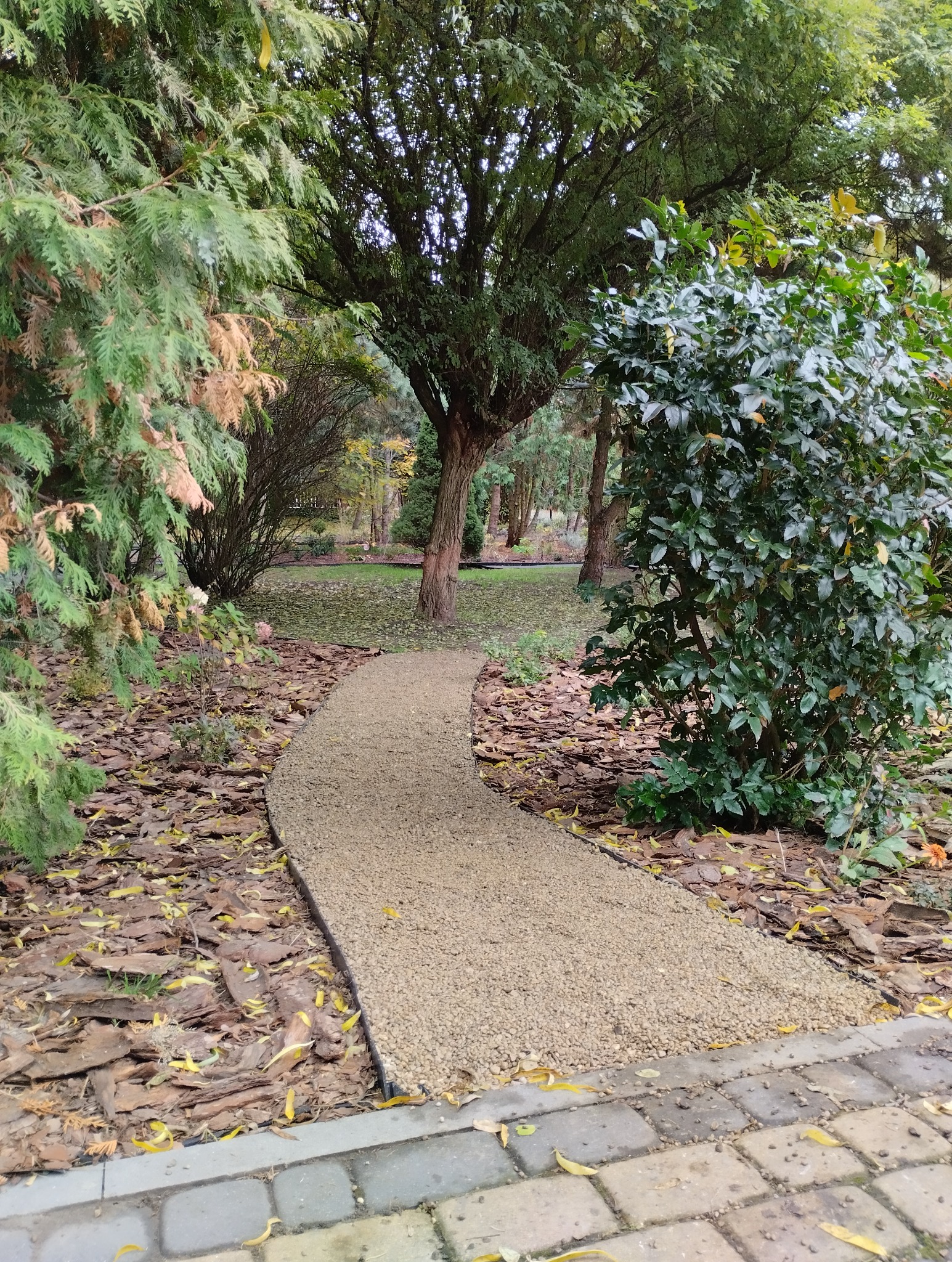 Ścieżka z drobnego żwiru w ogrodzie, obrzeża z czarnego tworzywa, kora i opadłe liście na rabatach, drzewa w tle.