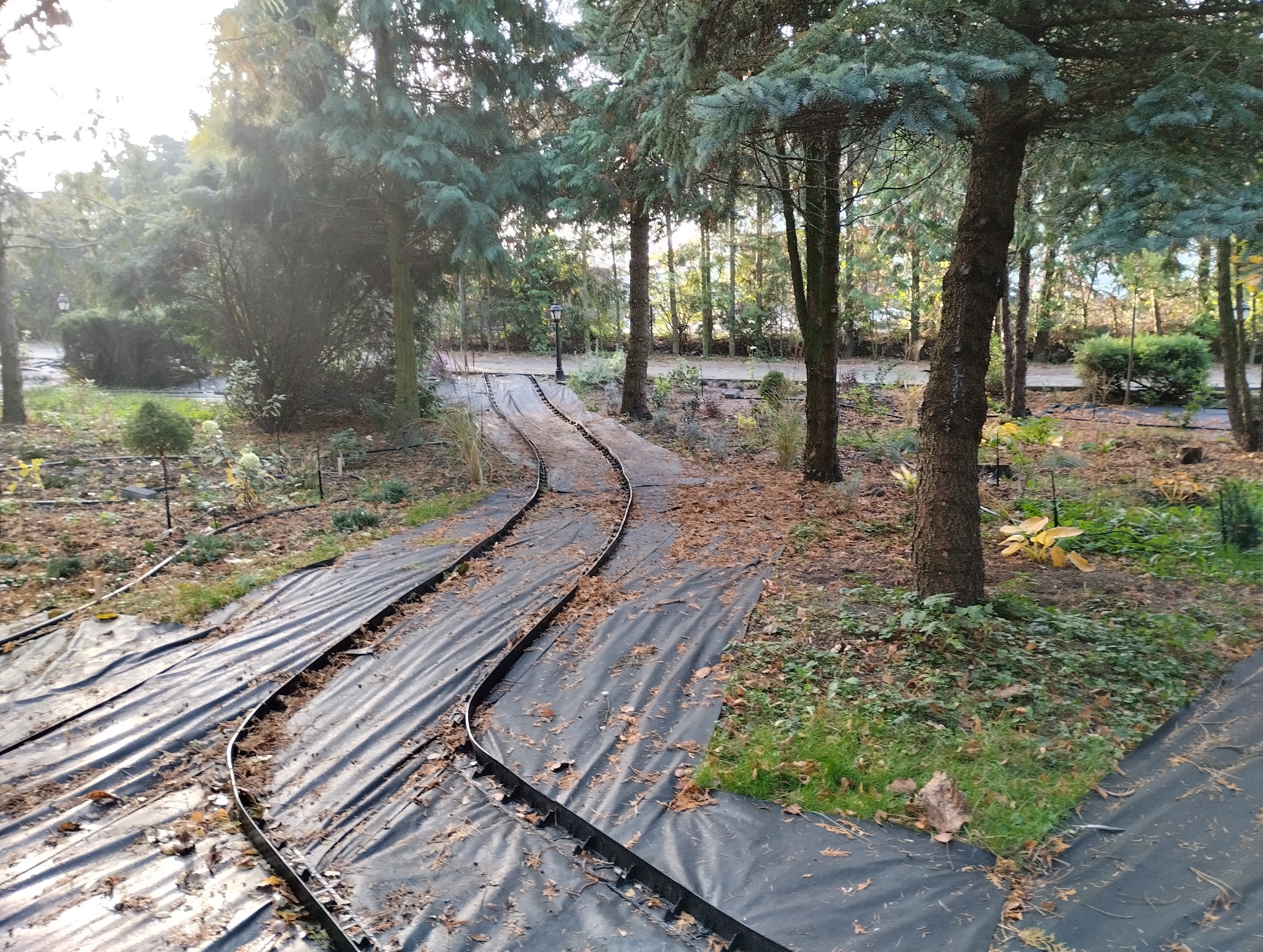 Rozłożona czarna agrowłóknina z brązowymi obrzeżami wzdłuż ścieżki w ogrodzie, widoczne drzewa iglaste i liściaste oraz lampa parkowa w tle.