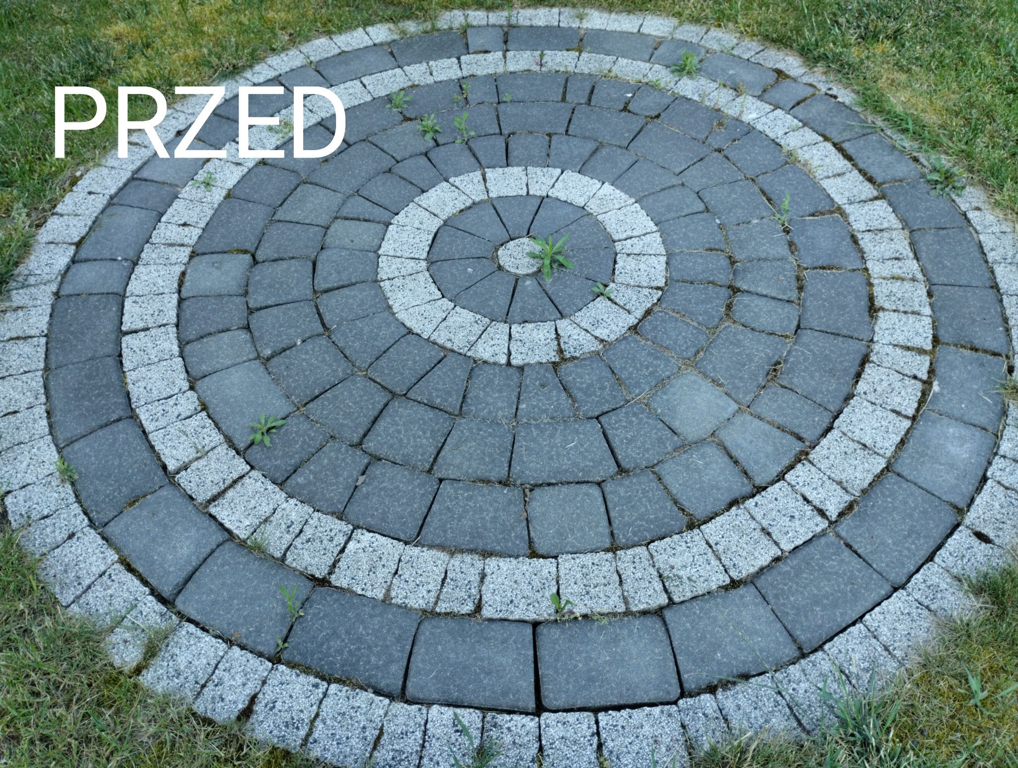 Okrąg z kostki brukowej ułożonej koncentrycznie, z chwastami rosnącymi między kostkami, otoczony trawą. Widoczny napis 'PRZED'.
