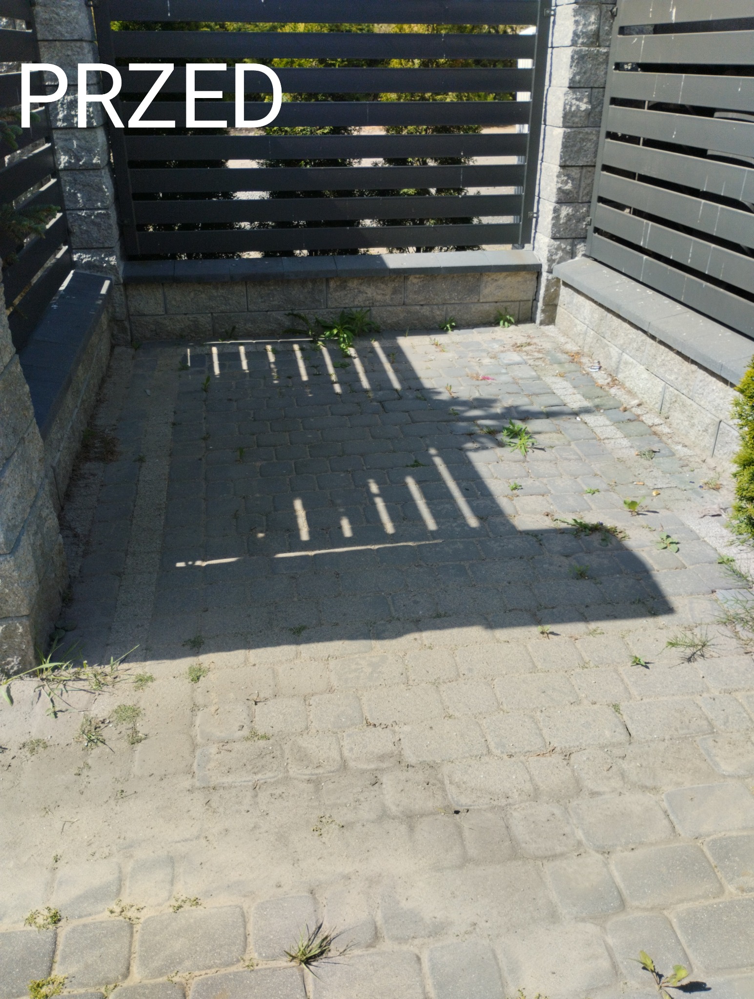 Zabrudzona kostka brukowa przed czyszczeniem, widoczne chwasty i piasek, cień rzucany przez ogrodzenie.