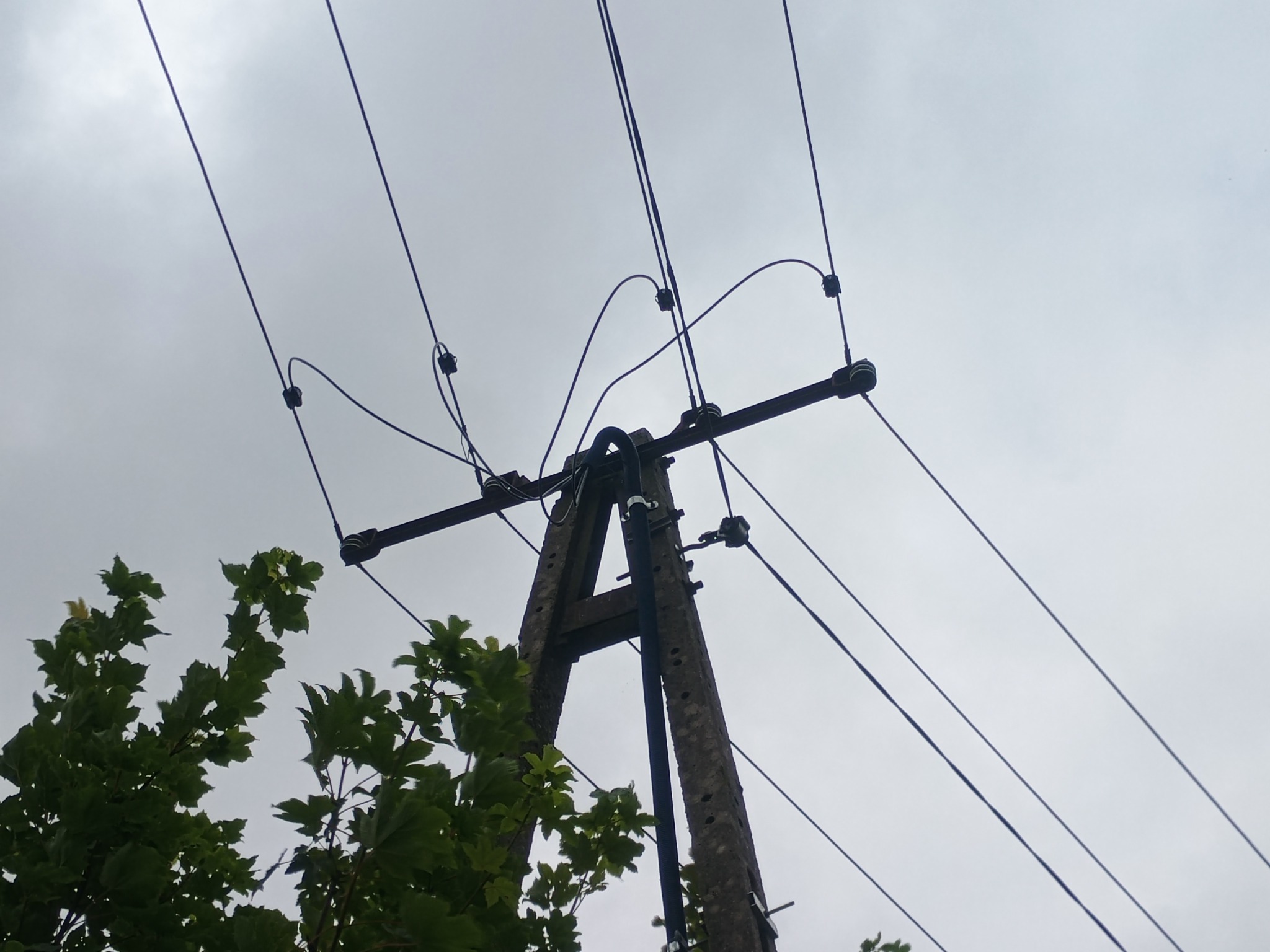 Betonowy słup energetyczny z przewodami na tle pochmurnego nieba, częściowo zasłonięty przez gałęzie drzewa. Widok z dołu.