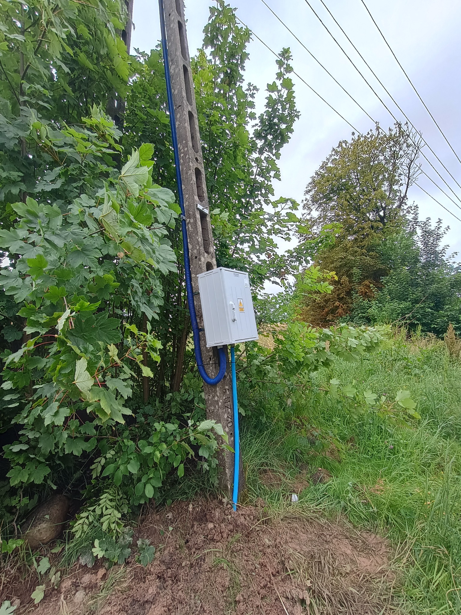 Słup elektryczny z zamontowaną skrzynką i niebieską rurką ochronną na tle zieleni. Widoczne przewody elektryczne i fragment krajobrazu.
