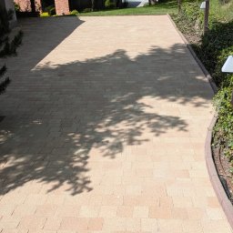 Wycinka drzew Żegocina 2