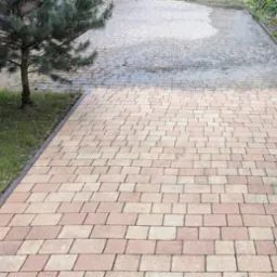 Częściowo umyta kostka brukowa na podjeździe, widoczny kontrast między czystą a brudną powierzchnią. Obok rośnie małe drzewko iglaste i zielony żywopłot.