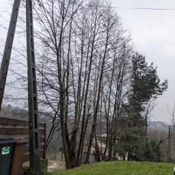 F.U.STACH Kazimierz Stachowicz - Grupa drzew liściastych bez liści i pojedyncza sosna na tle pochmurnego nieba. Z lewej słup energetyczny i fragment płotu. Widoczne kosze na śmieci.