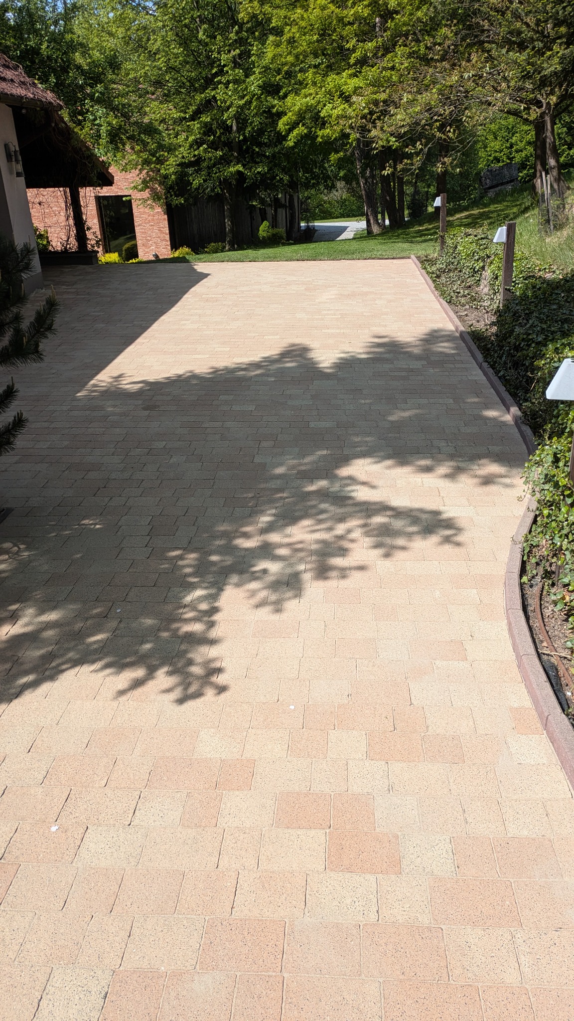 Beżowa kostka brukowa na podjeździe domu w słoneczny dzień, z cieniem drzewa i roślinami po bokach. Widok z góry, prezentujący wzór ułożenia kostki.