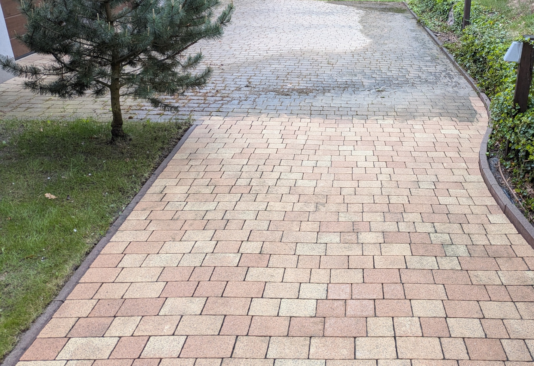 Częściowo umyta kostka brukowa na podjeździe, widoczny kontrast między czystą a brudną powierzchnią. Obok rośnie małe drzewko iglaste i zielony żywopłot.