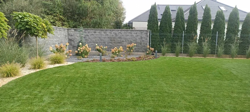 Zadbany trawnik z niską roślinnością, ozdobnymi trawami i drzewami w tle, oddzielony murem z szarej kostki. Regularny trawnik, nasadzenia wzdłuż muru, wysokie tuje przy ogrodzeniu.