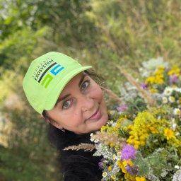 Clean-An - Budowa Ogrodów Katowice