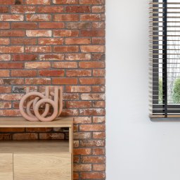 Sesja biznesowa Tychy 1