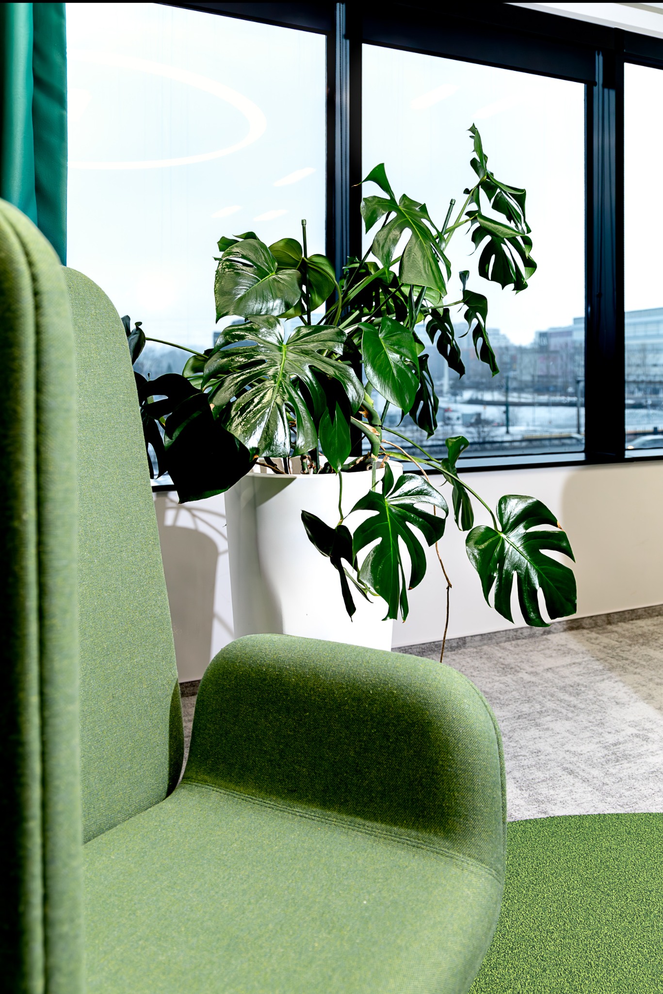 Fragment biura z zielonym fotelem i dużą doniczką z monsterą na tle okna z widokiem na miasto.