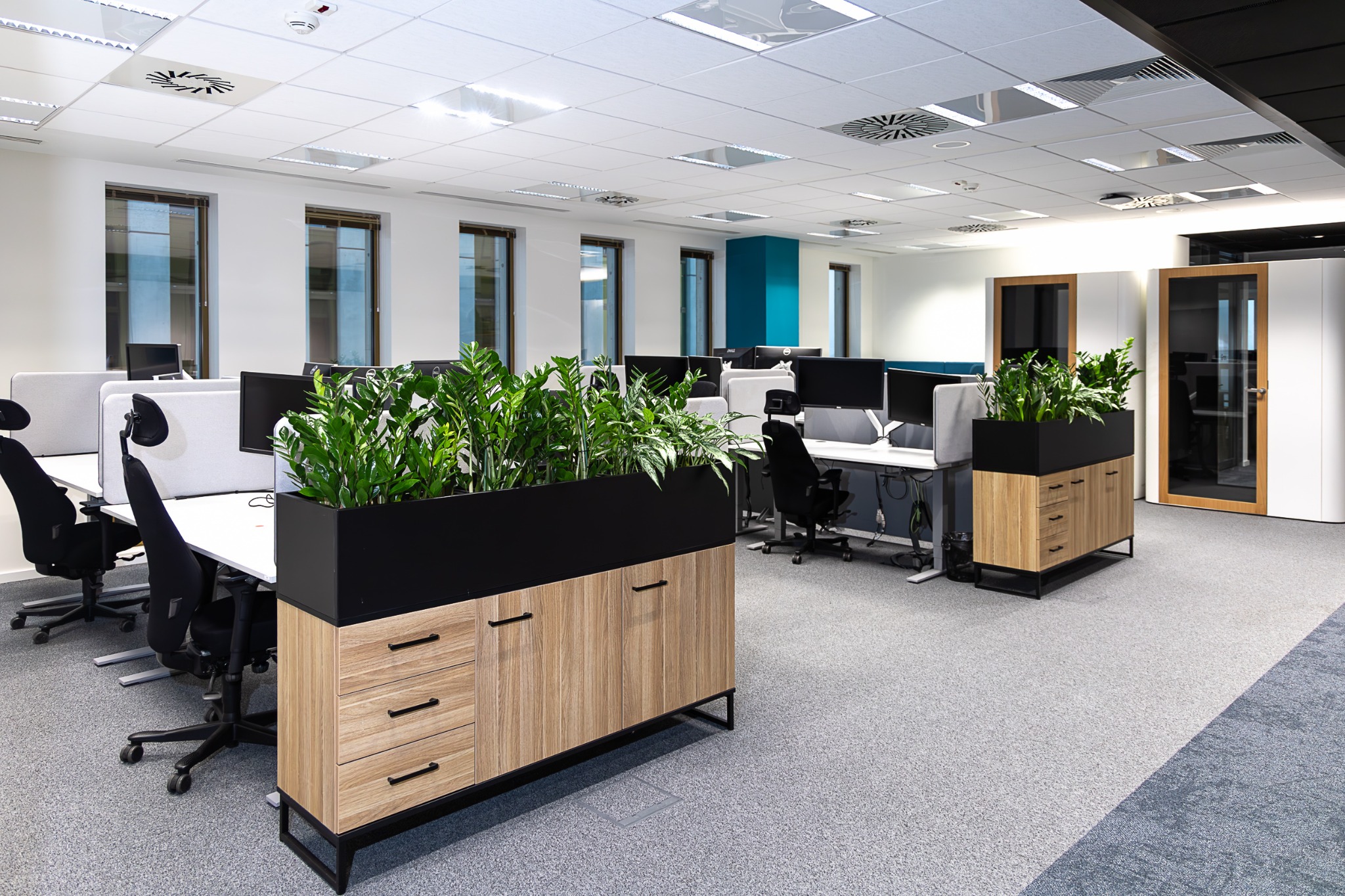 Nowoczesne biuro z biurkami oddzielonymi panelami, roślinami w czarnych donicach na drewnianych szafkach i przeszklonymi kabinami akustycznymi.