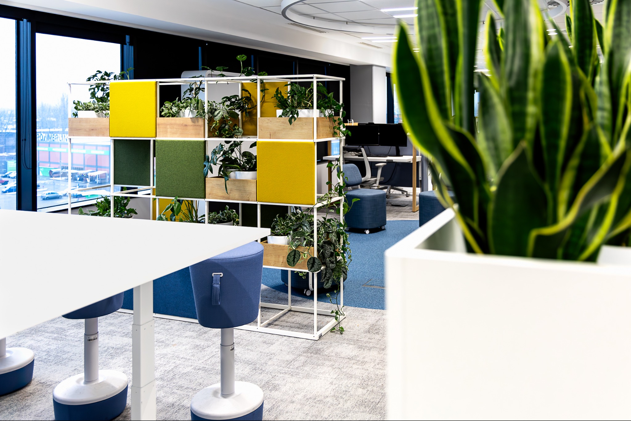 Nowoczesne biuro z modułowym regałem z roślinami, dzielącym przestrzeń, z widocznymi biurkami i krzesłami w tle.