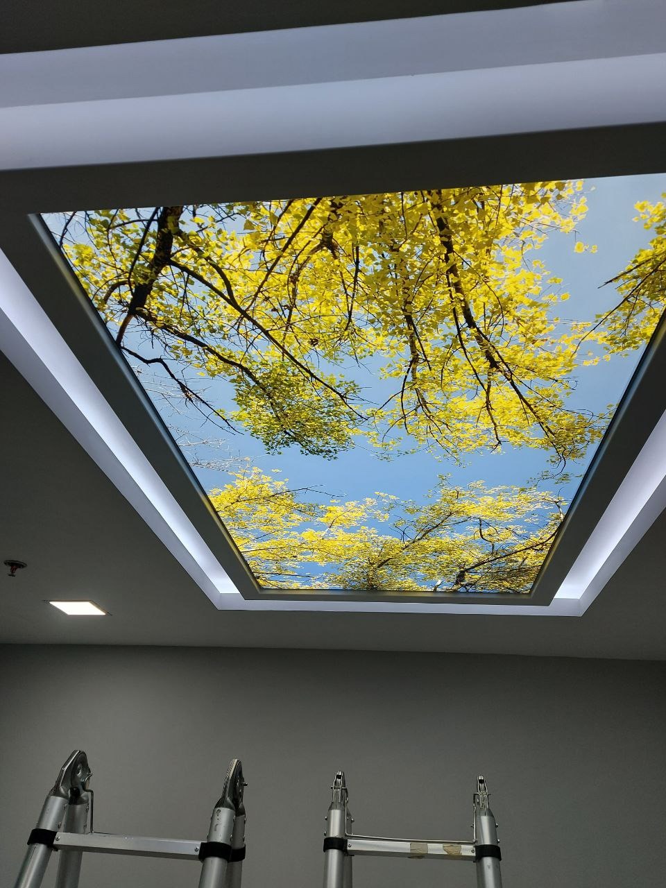 Prostokątny sufit podwieszany z podświetlanym panelem przedstawiającym widok na korony drzew z żółtymi liśćmi i błękitne niebo, widoczne drabiny w pomieszczeniu.