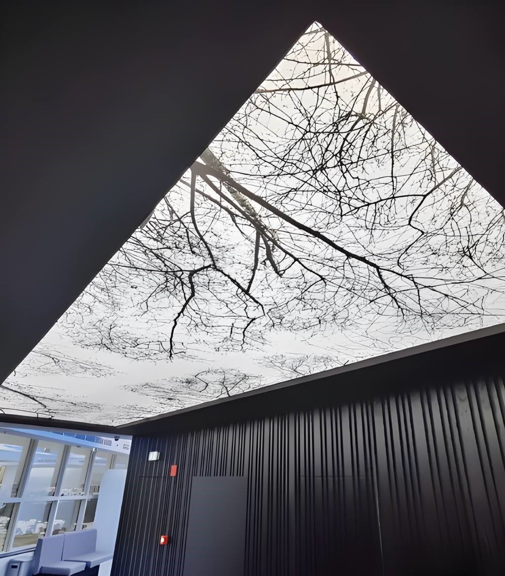 Trójkątny sufit napinany z nadrukiem koron drzew bez liści, widok z dołu, ciemne ściany z pionowymi panelami w tle.