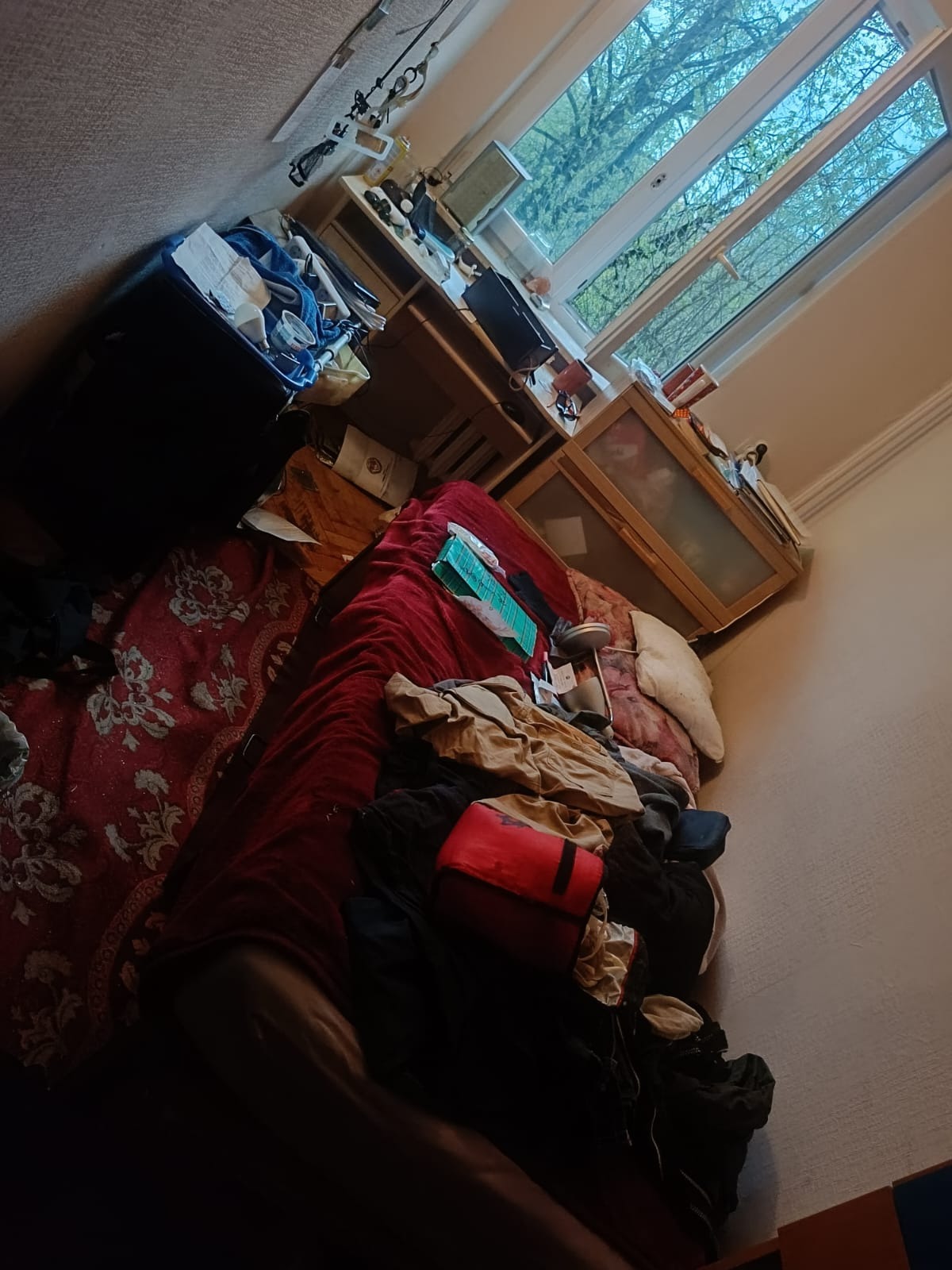 Bardzo zagracony pokój z widokiem na drzewa przez okno dachowe, nieporządek na łóżku, biurku i podłodze.