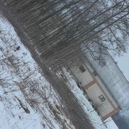 Czyszczenie działki 