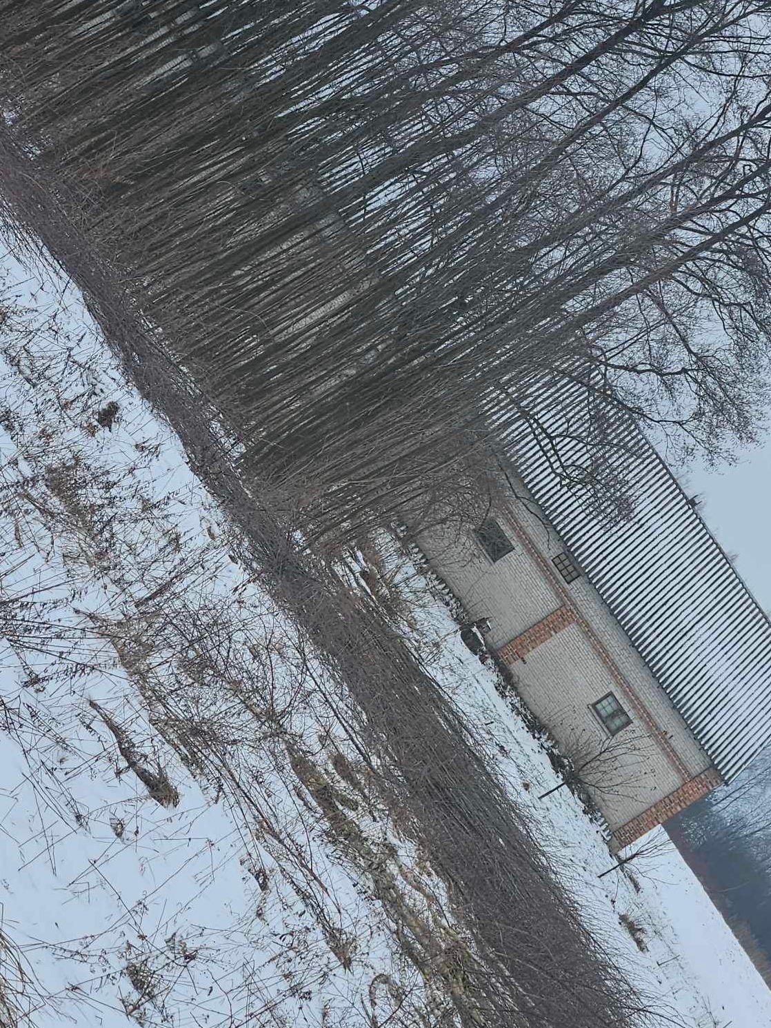 Czyszczenie działki