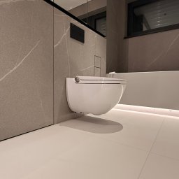 Glazurnik Tarnowskie Góry 2