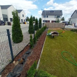 Wycinka drzew Słupca 3