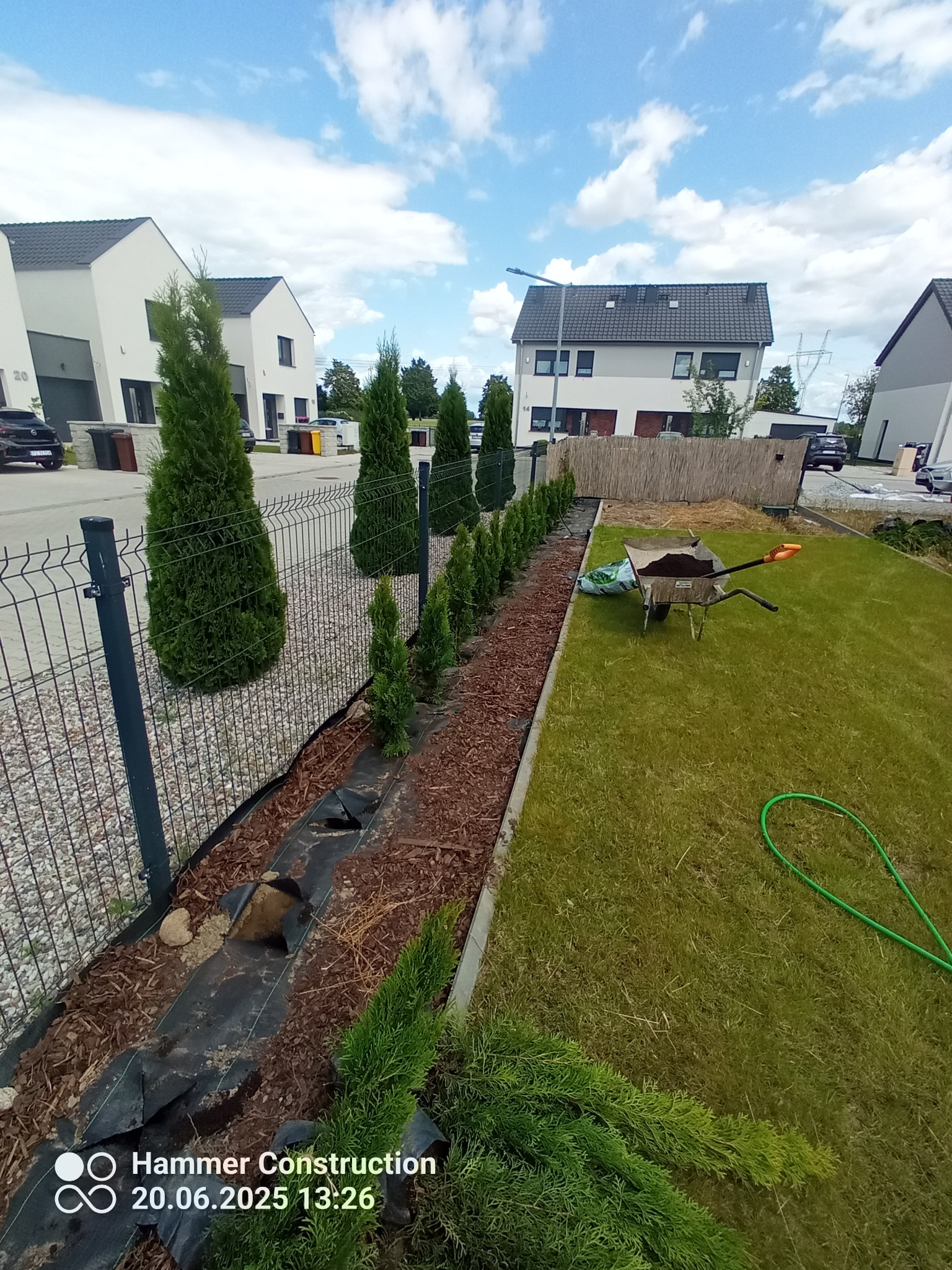 Świeżo posadzone tuje wzdłuż metalowego ogrodzenia, kora rozsypana na czarnej agrowłókninie, taczka z ziemią na trawniku, nowoczesne domy w tle.