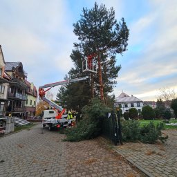 Agro fan sp z o.o. - Wycinka wysokiej sosny z podnośnika koszowego na tle zabudowań. Ścięte gałęzie leżą na chodniku. Widoczny samochód z podnośnikiem i pracownicy w odblaskowych kamizelkach.