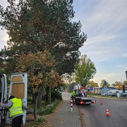 Agro fan sp z o.o. - Pracownicy w kamizelkach przy samochodzie i podnośniku na przyczepie, przygotowują się do pracy przy wysokim drzewie. Na ulicy ustawione pachołki.