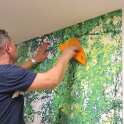 Budomex Sp. z o.o. - Mężczyzna w niebieskiej koszulce wygładza fototapetę z motywem brzozowego lasu na ścianie za pomocą pomarańczowej rakli.