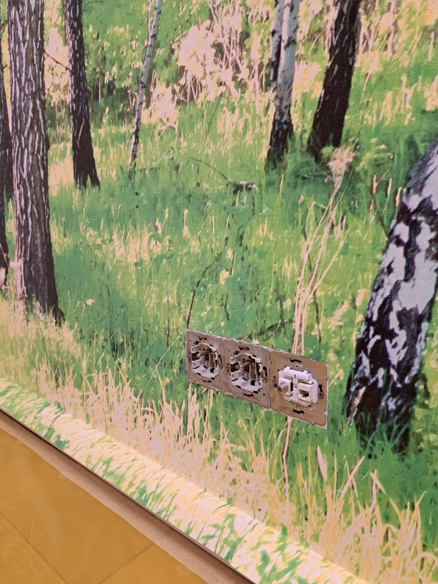 Tapeta z motywem brzozowego lasu z trzema gniazdkami elektrycznymi w trakcie montażu.