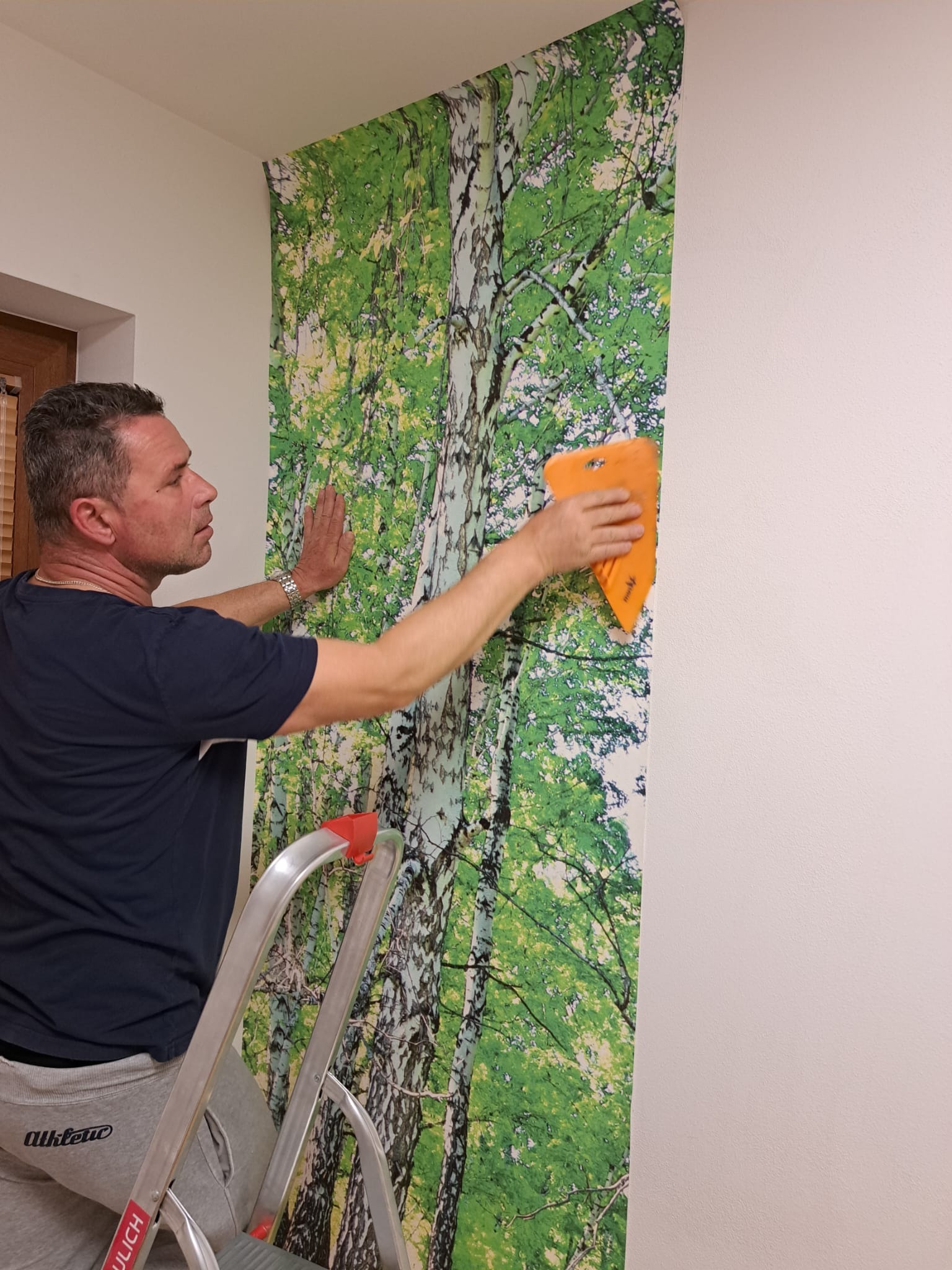 Mężczyzna w trakcie tapetowania ściany tapetą z motywem brzozowego lasu, używa pomarańczowej packi do wygładzenia, stoi na aluminiowej drabinie.