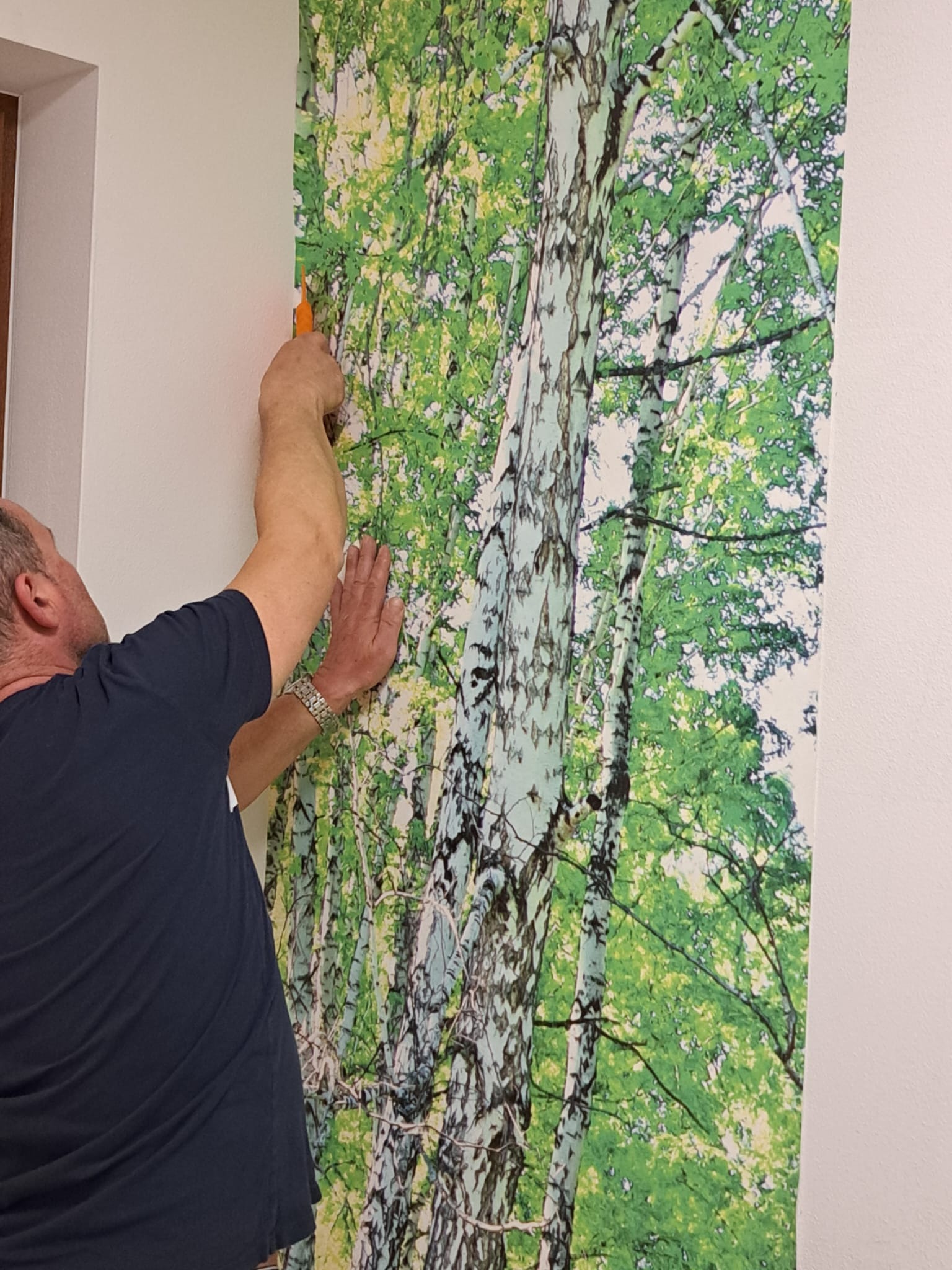 Mężczyzna w trakcie tapetowania ściany fototapetą z motywem brzozowego lasu, przycina krawędź nożykiem.