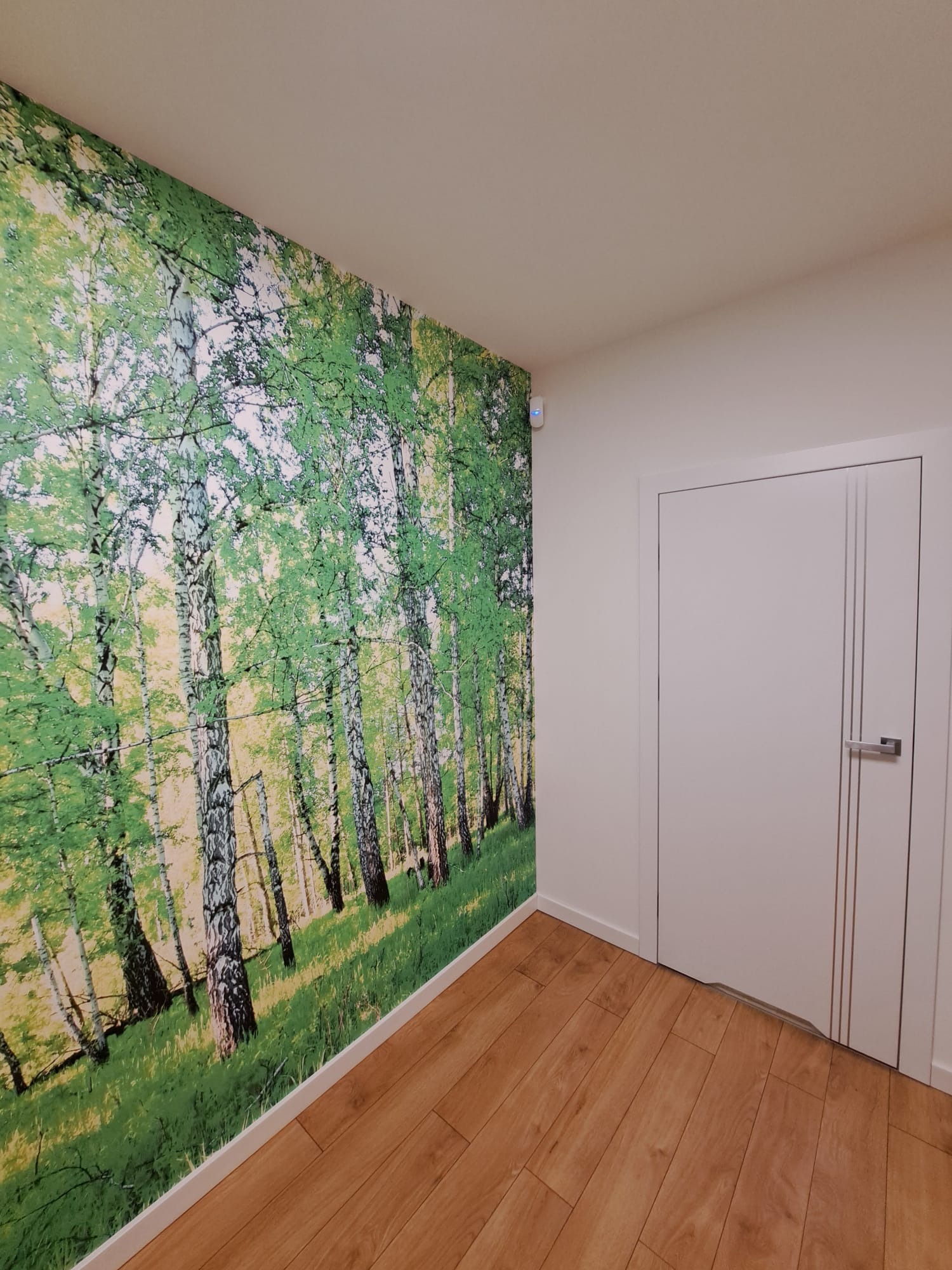 Fototapeta z motywem brzozowego lasu na ścianie w korytarzu w Krakowie, z drewnopodobną podłogą i białą, nowoczesną stolarką drzwiową.