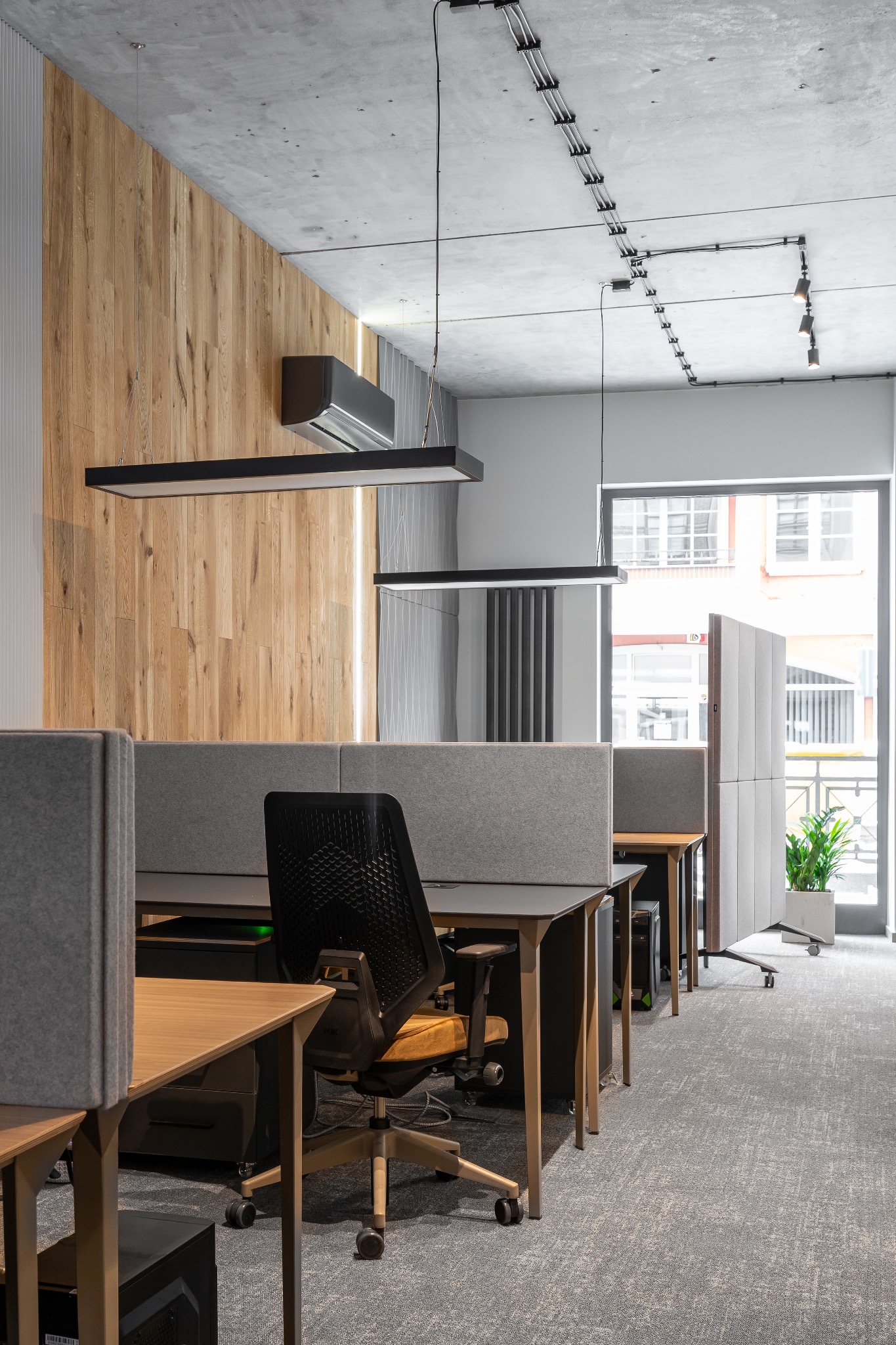 Nowoczesne biuro z drewnianą ścianą, betonowym sufitem i wiszącymi lampami, stanowiska pracy oddzielone szarymi panelami akustycznymi, widok na ulicę przez duże okno.