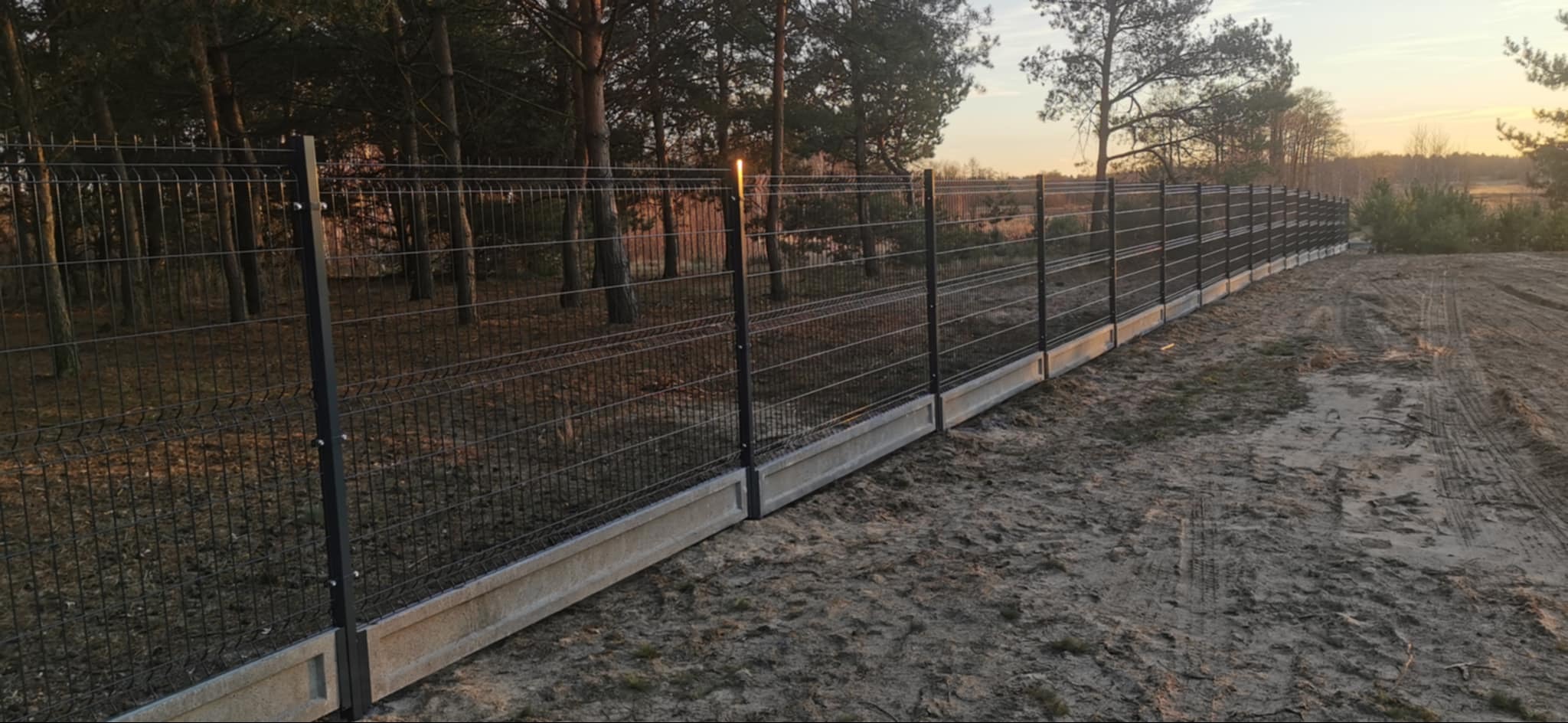 Długie, proste ogrodzenie z paneli na betonowej podmurówce, widok z zewnątrz posesji, w tle las i zachodzące słońce.