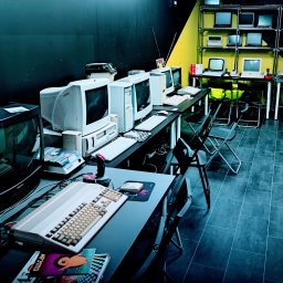 Catering dla firm Warszawa 3