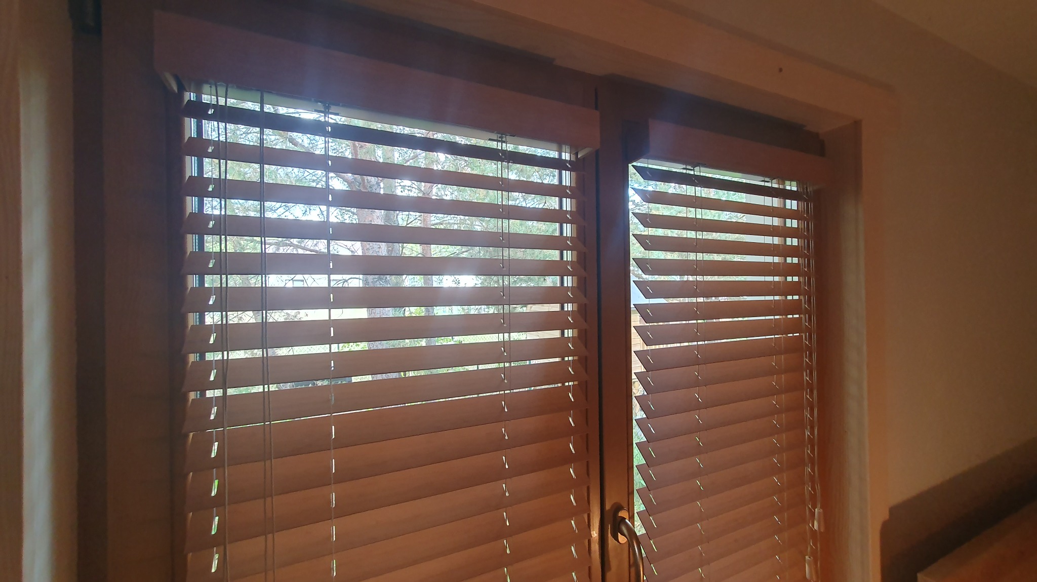 Drewniane żaluzje poziome w oknie, przez które widać drzewa. Ciepłe światło podkreśla naturalny odcień drewna. Widoczne sznurki sterujące.
