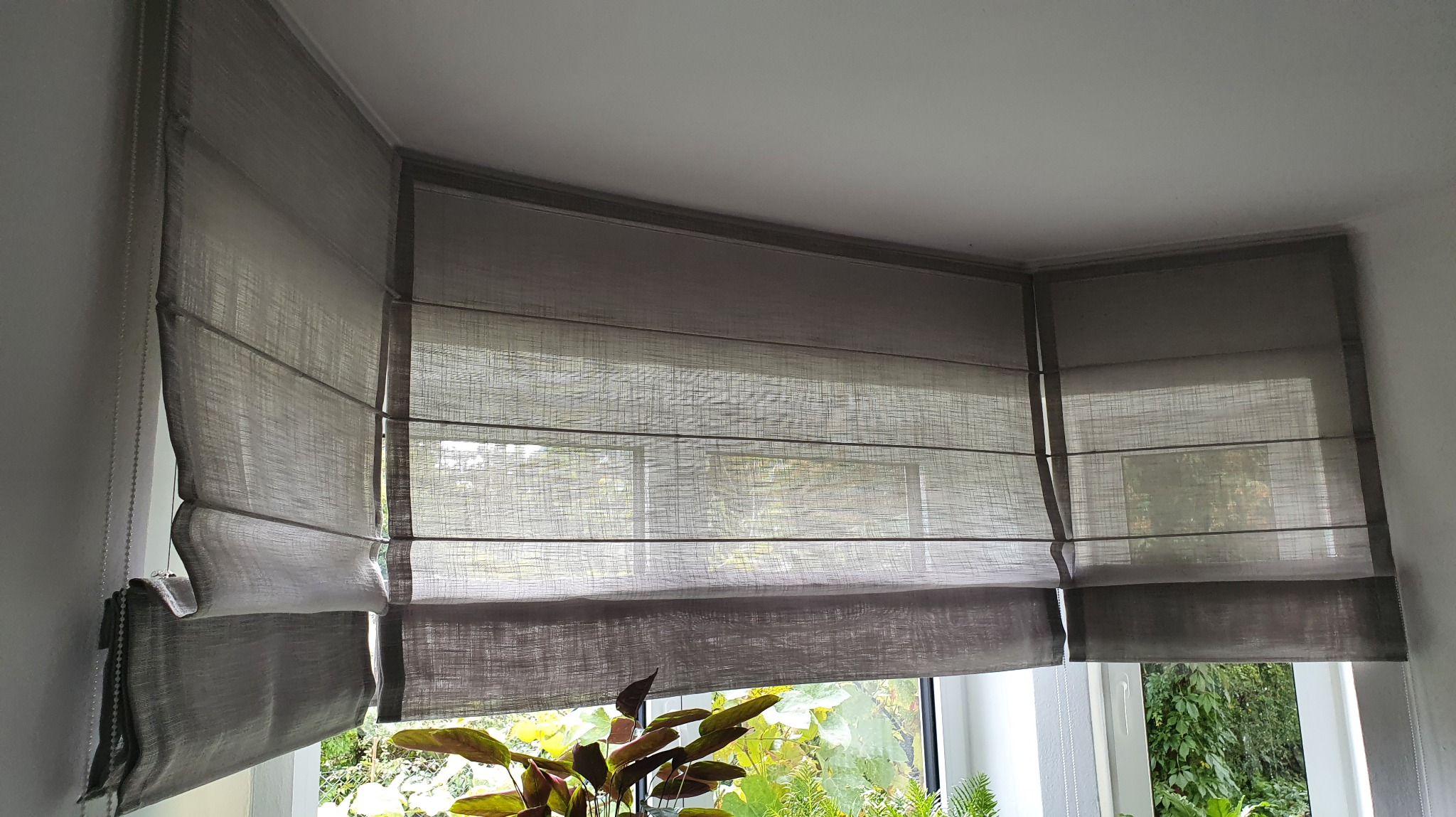 Szare rolety rzymskie zamontowane w oknie narożnym, częściowo podciągnięte, z widocznym mechanizmem łańcuszkowym i roślinami w tle za oknem.