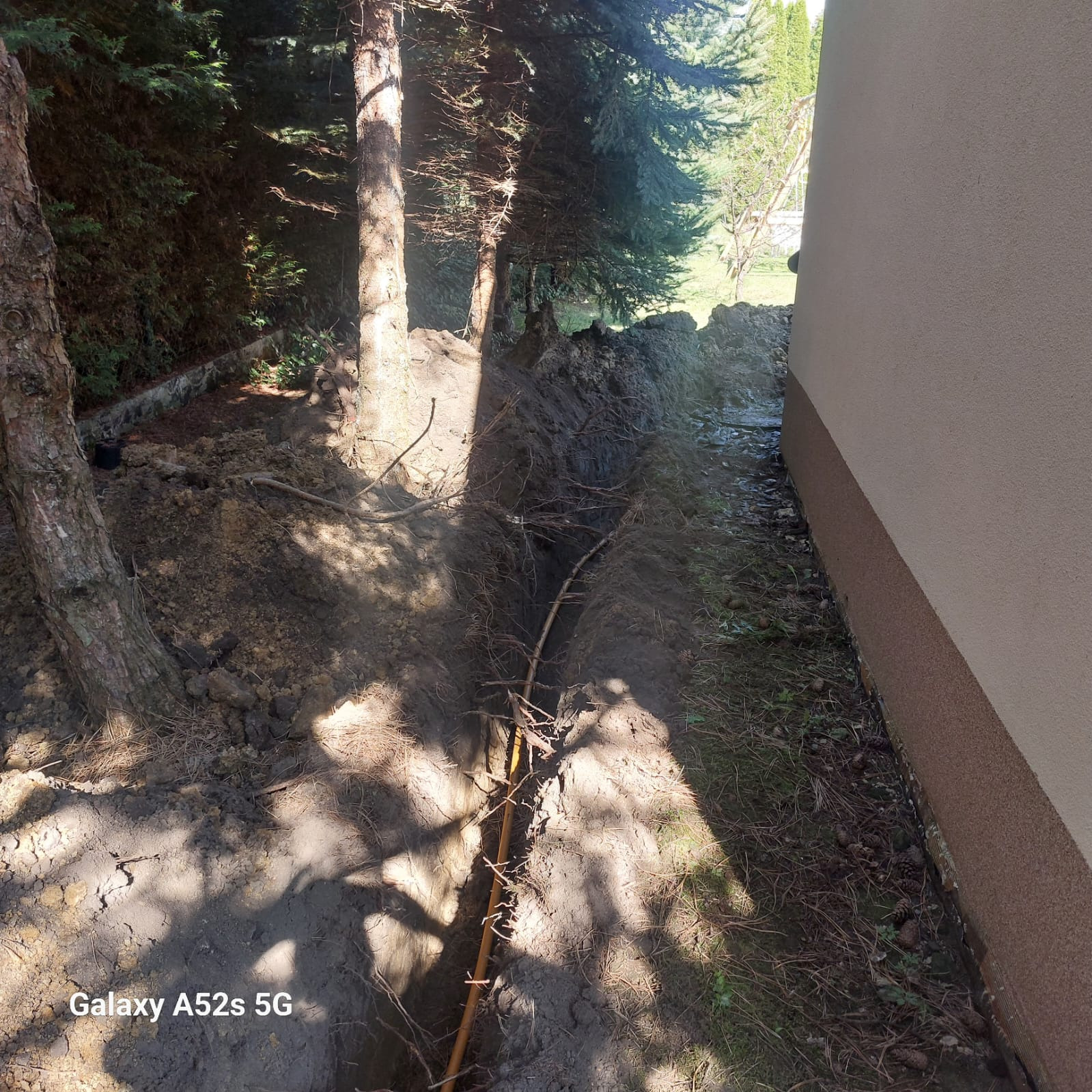 Żółta rura w wykopie ziemnym wzdłuż ściany budynku, widoczne korzenie drzew i igliwie, częściowo w cieniu drzew.