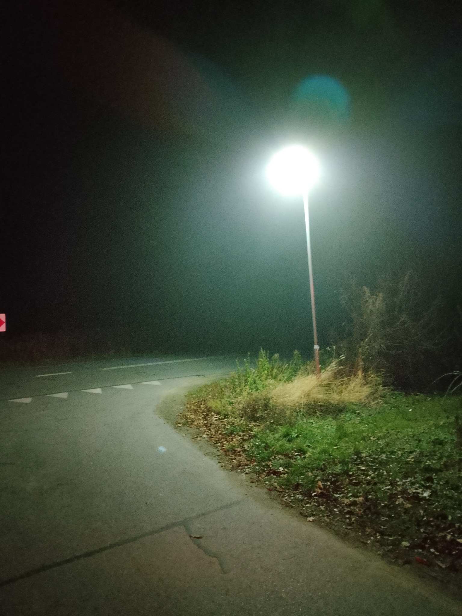 Słup oświetleniowy uliczny świecący w ciemności, widoczny na tle mglistego krajobrazu wiejskiego skrzyżowania.